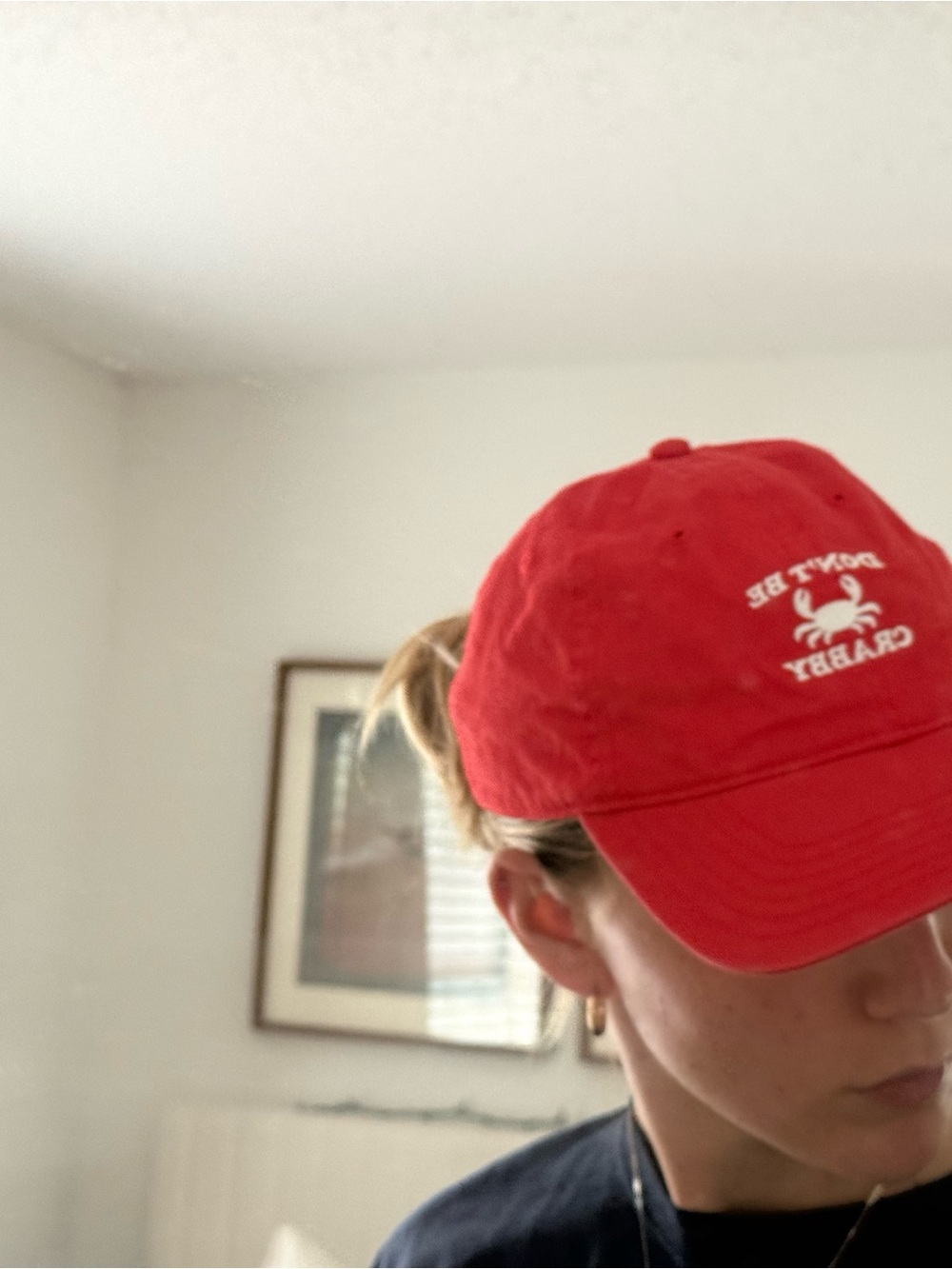 aerie Red Baseball Cap “Don’t be Crabby” - Picture 3 of 3